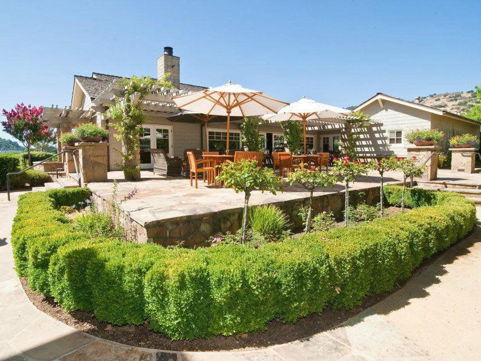 Cliff Lede Vineyards in Napa