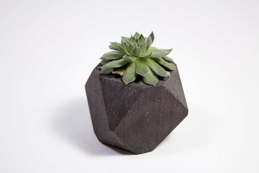 coffee vase University of Houston PH Design Shop architecture