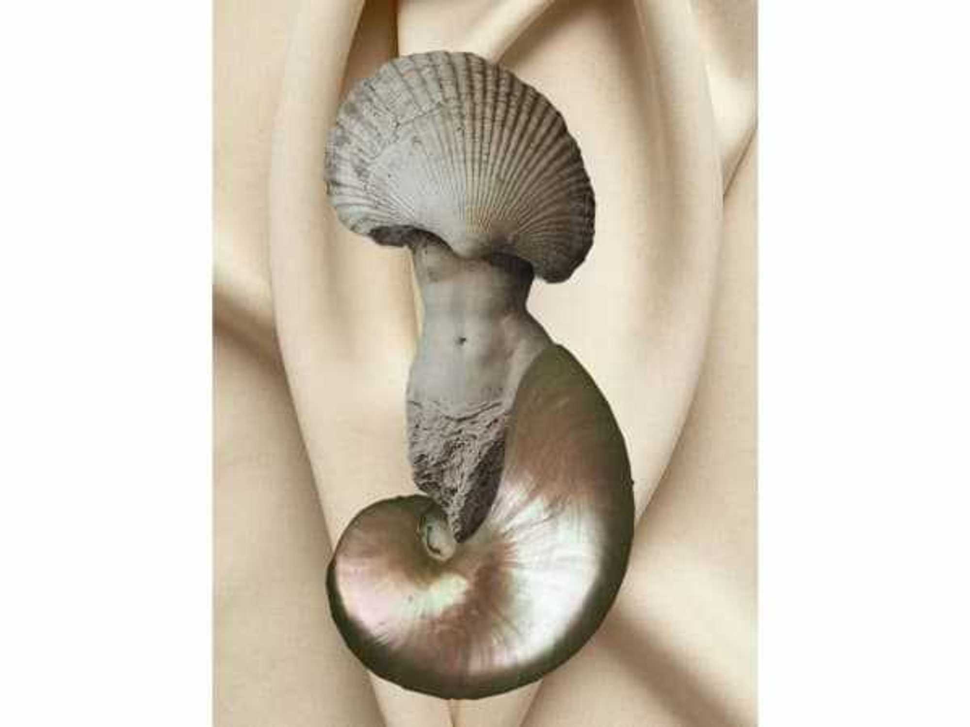 Community Artists’ Collective presents "Nurturing the Feminine: Veils"