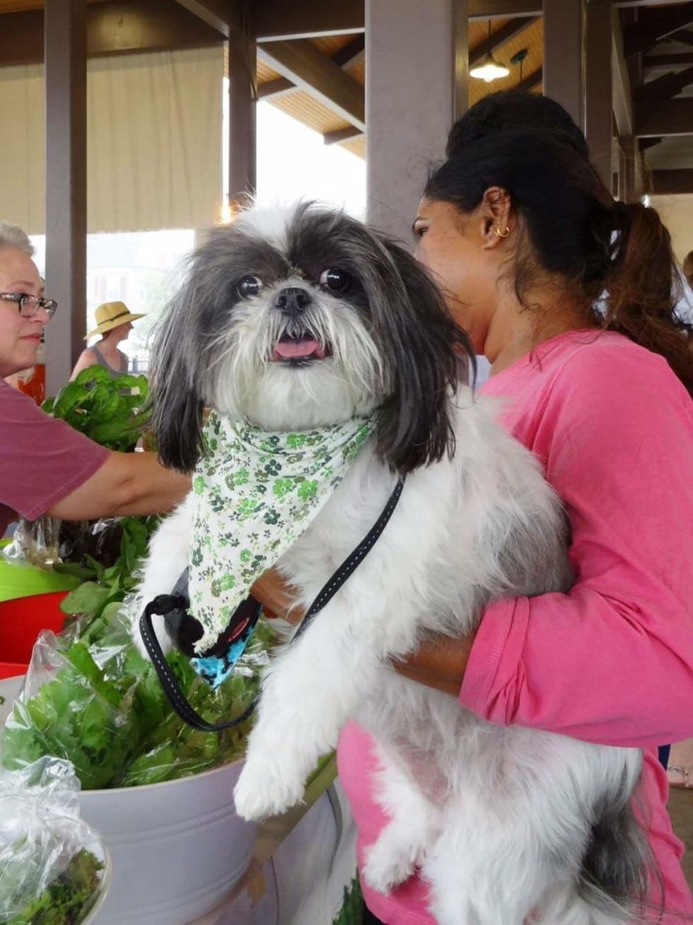 Coppell Farmers Market