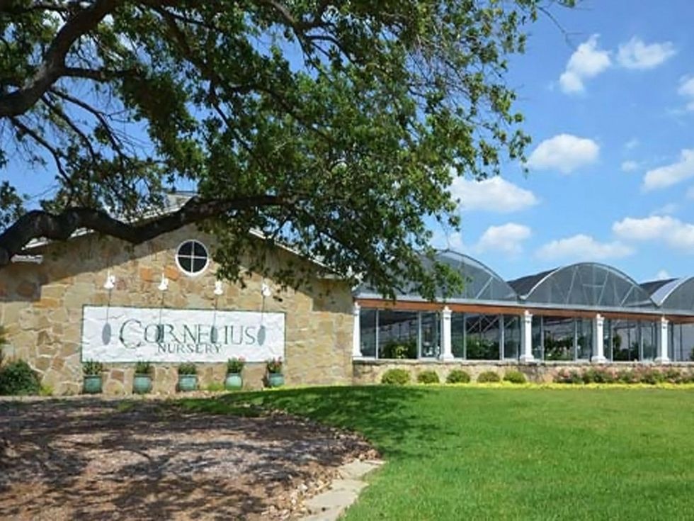 Cornelius Nursery Houston on Voss Road exterior day