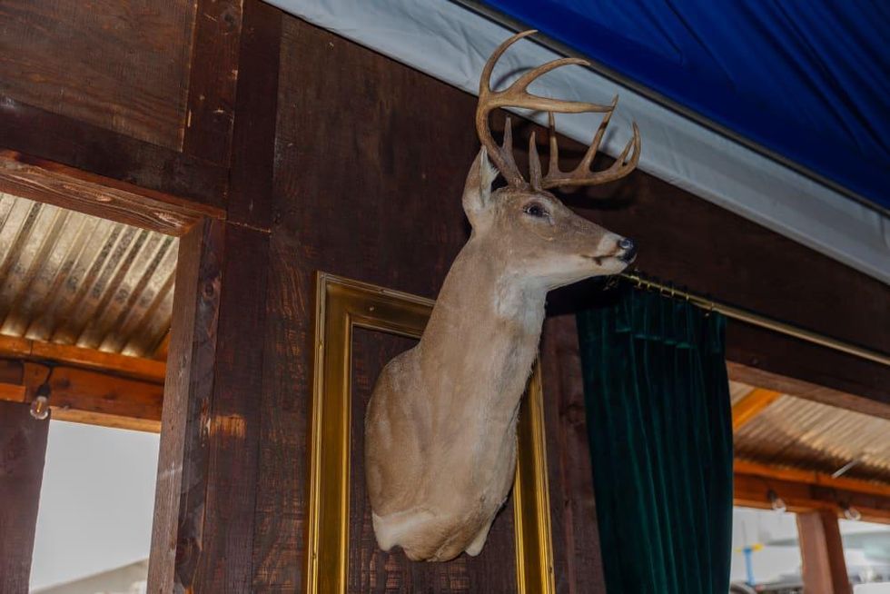 Cotton Holdings rodeo tent 2022