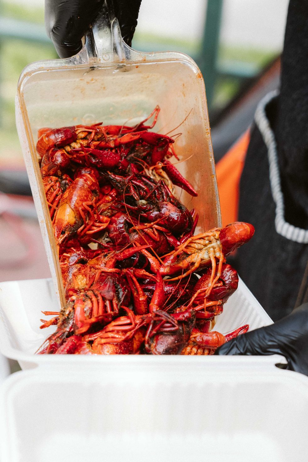 Crawfish & Brews crawfish