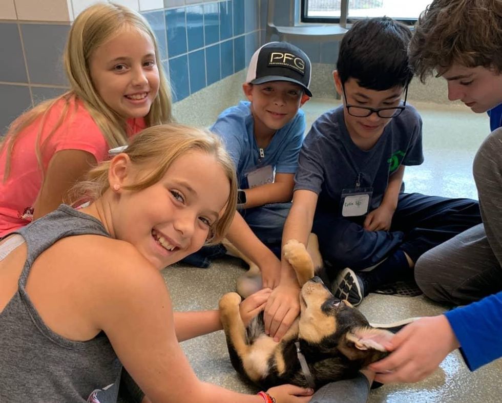 Give your kids an epic summer at Houston SPCA's Critter Camp