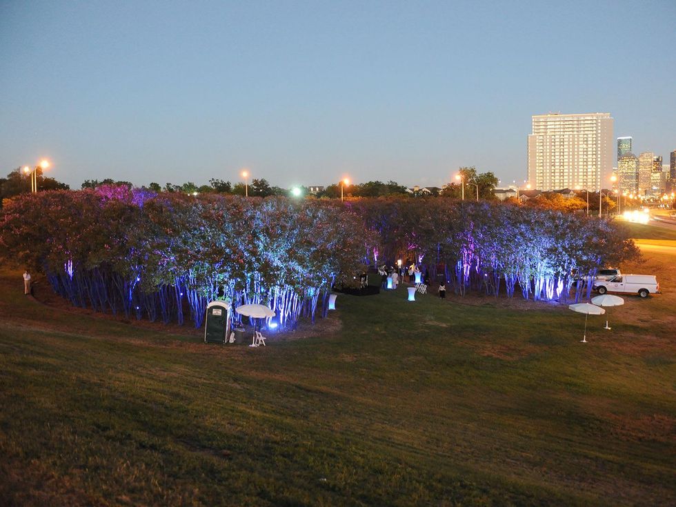 crowd, venue at HAA's Under The Blue Trees Pop-Up Party October 2013