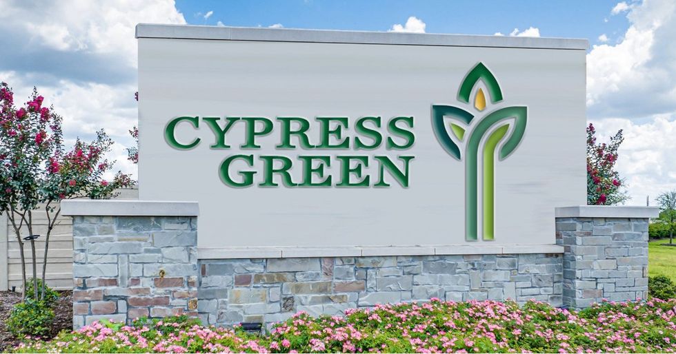 Cypress Green