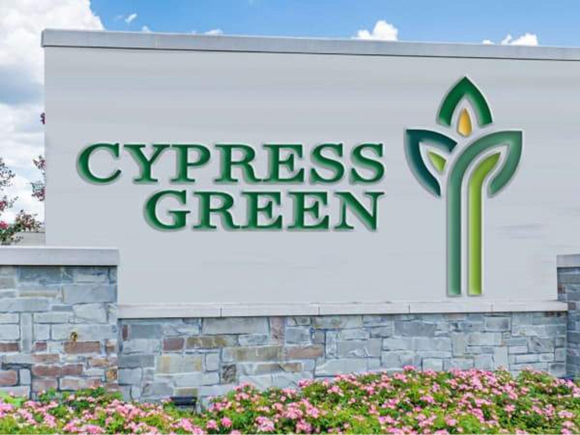 Cypress Green