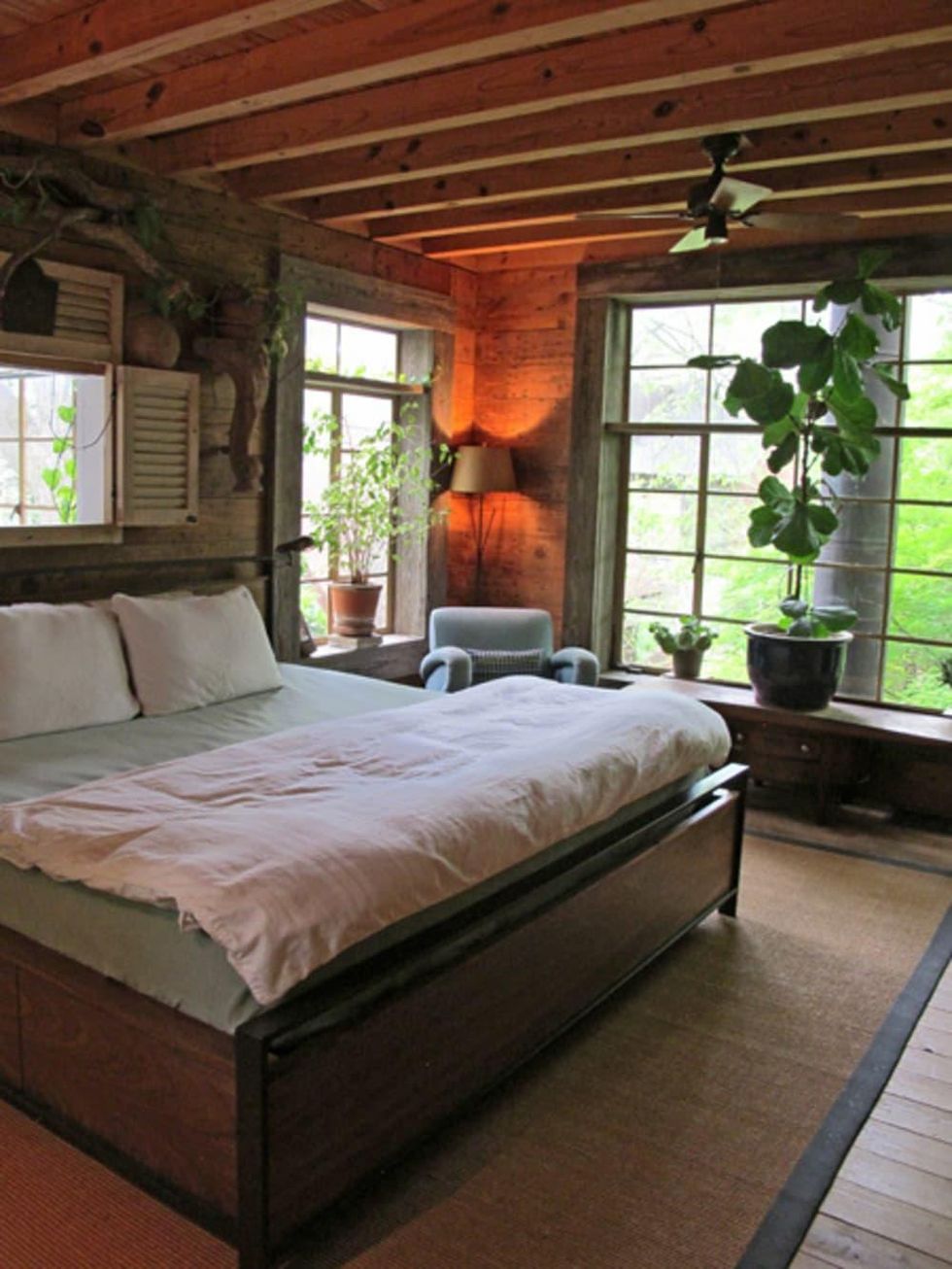 Ethereal treehouse climbs to top of Airbnb's most coveted rentals in