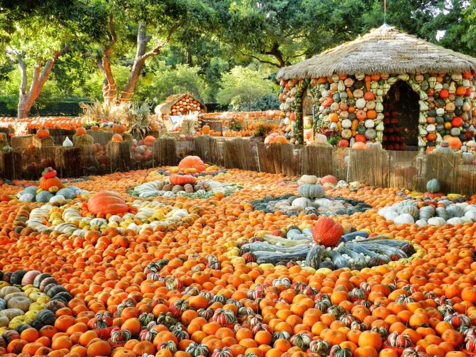 Dallas Arboretum