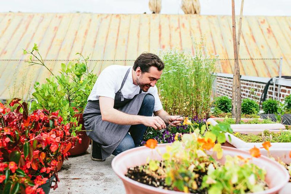 Dan Heinze McCrady's Kipper Club