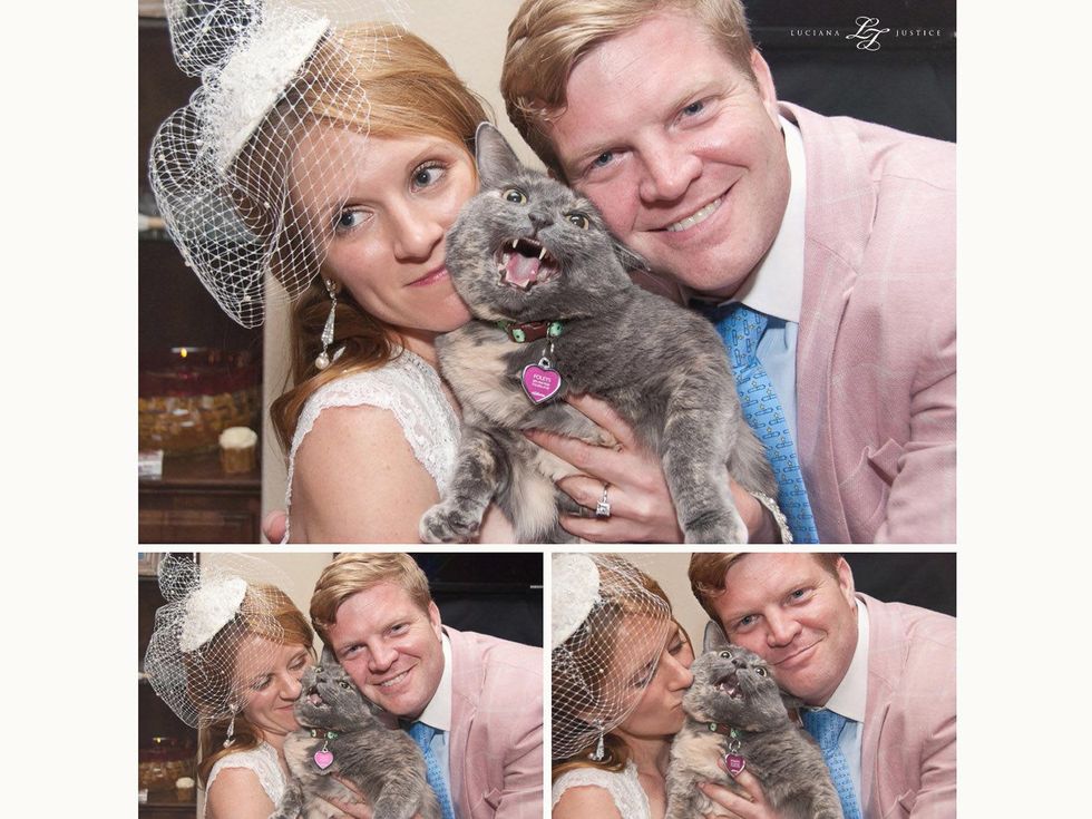 Danielle and Justin Foley wedding photo with crazy cat