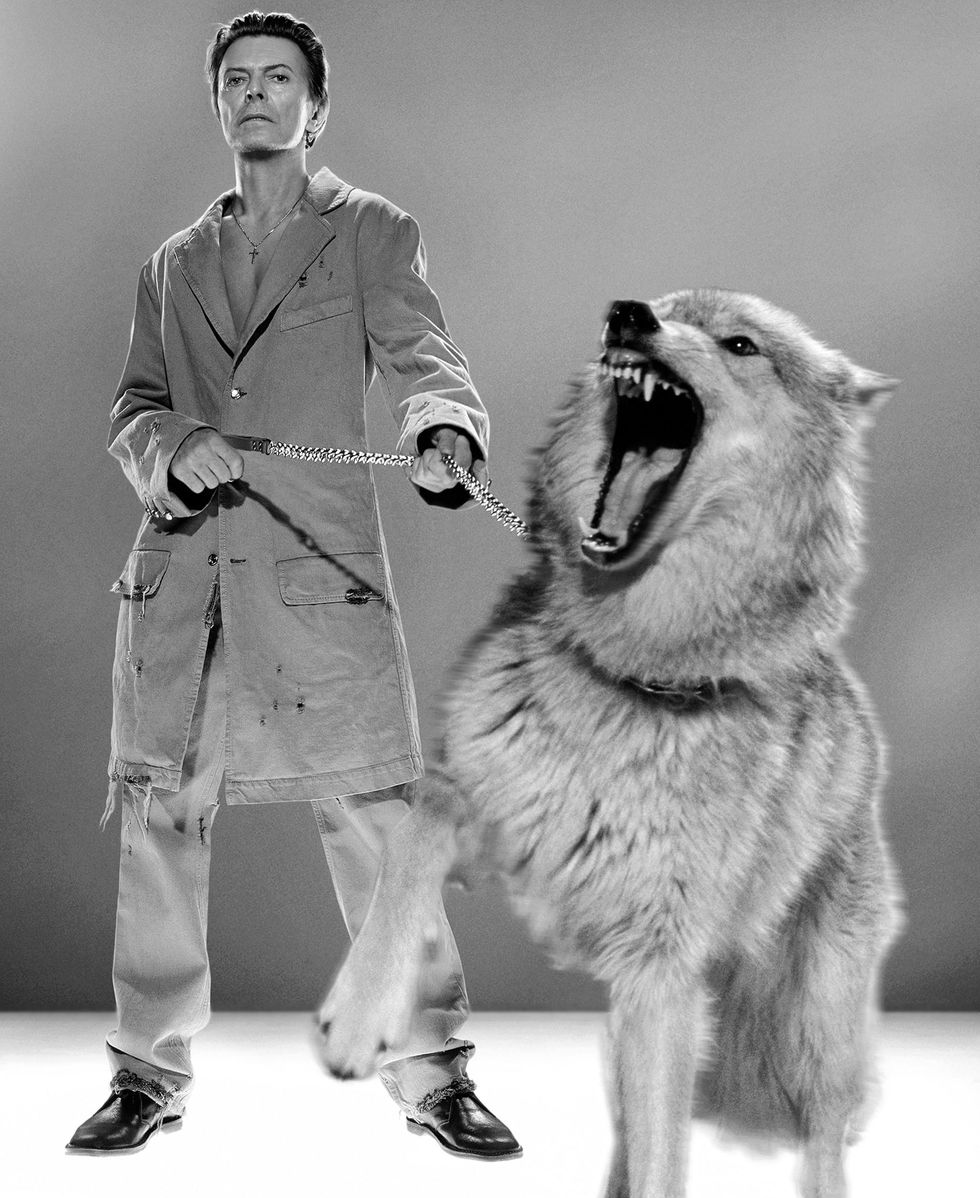 David Bowie wolf Markus Klinko