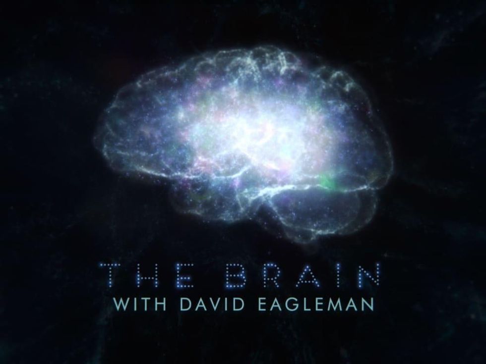David Eagleman The Brain