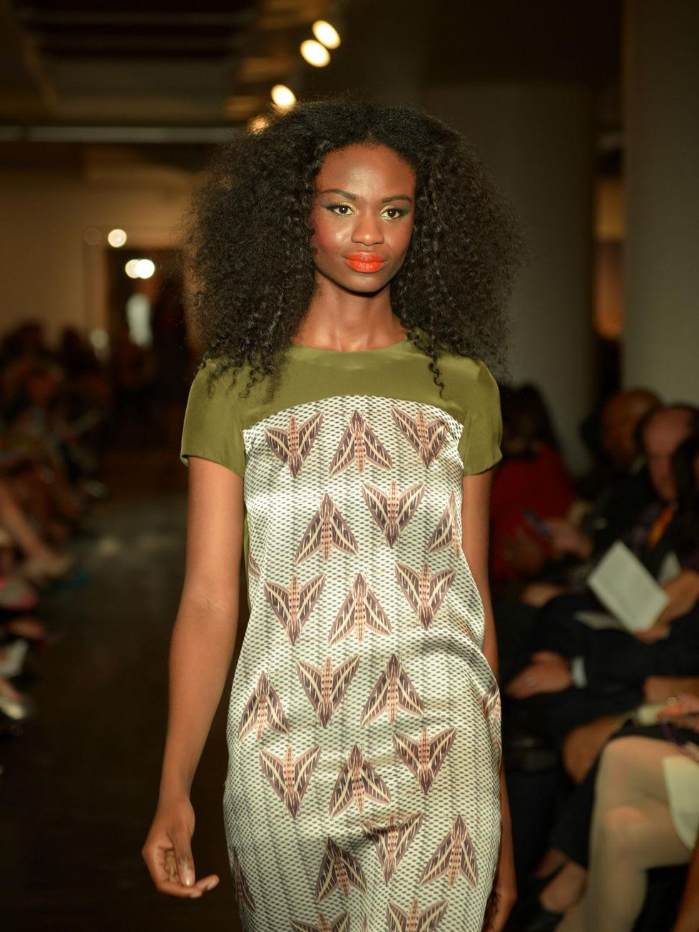 David Peck fashion show October 2014 moth print