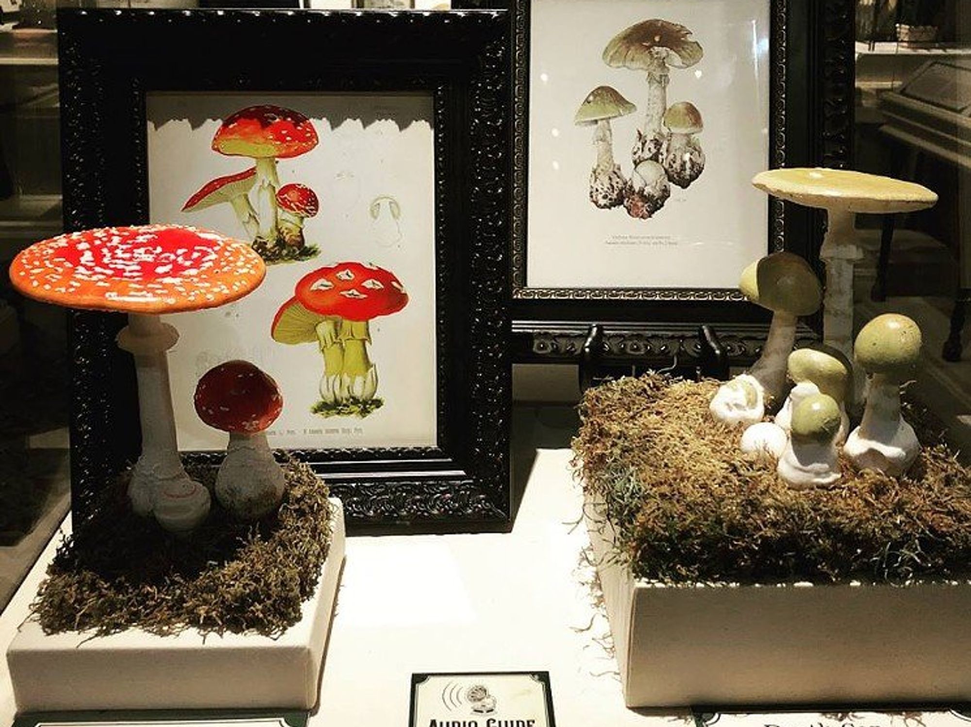 Death by Natural Causes was one of the Houston Museum of Natural Science's most popular temporary exhibits.