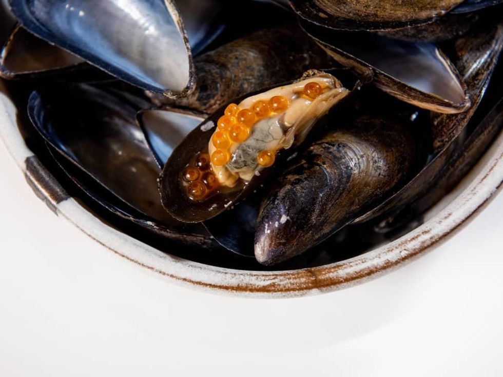 Degust mussel