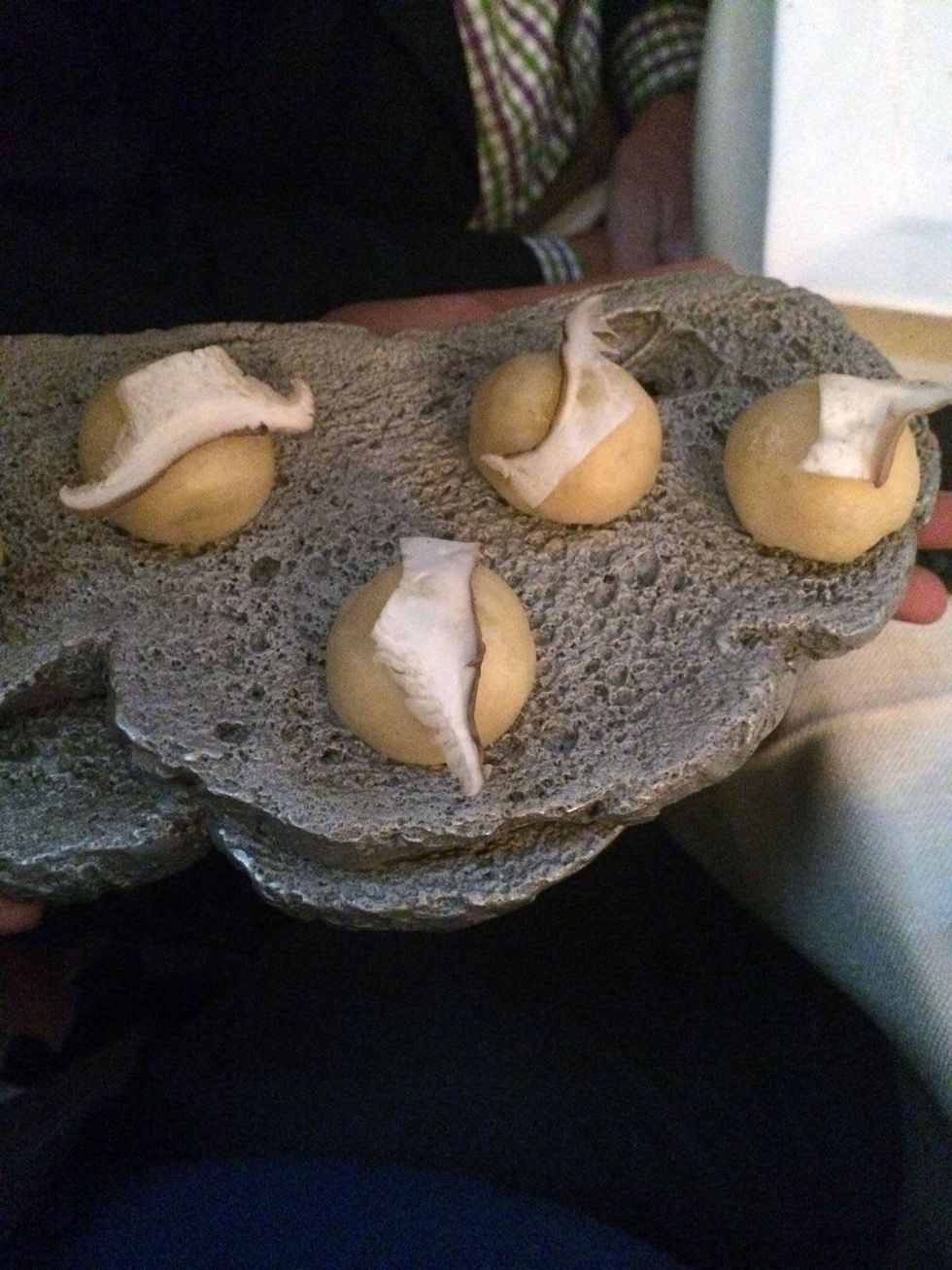 Dinner by Roca brothers at Rienzi house August 2014