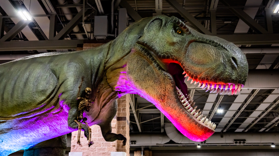 Dino & Dragon Stroll Houston