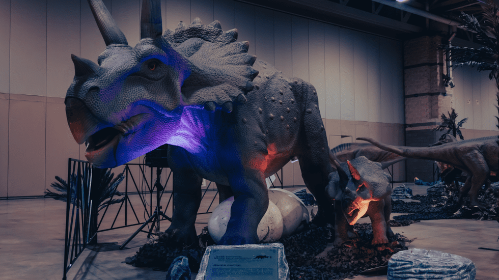 Dino & Dragon Stroll Houston