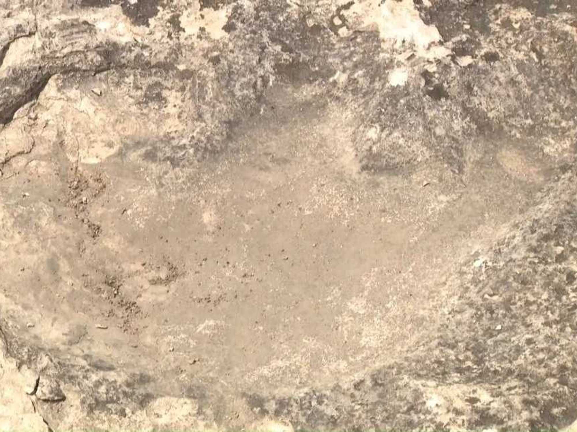 DInosaur track found in Hutto