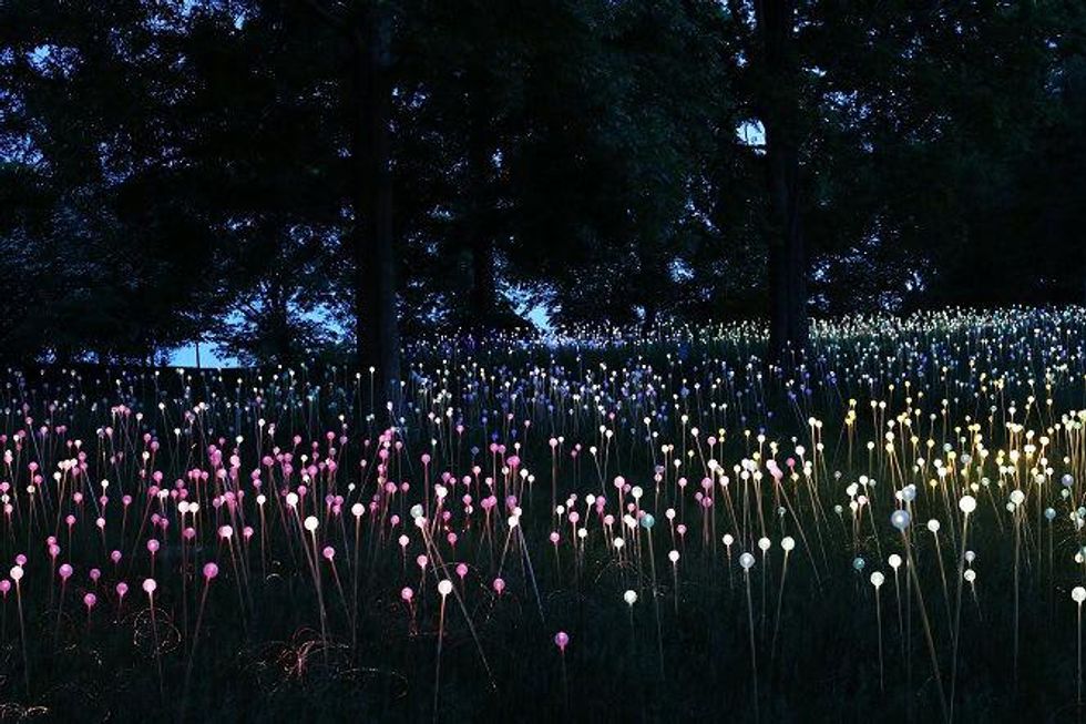 Discovery Green art installation: Field of Light by Bruce Munro