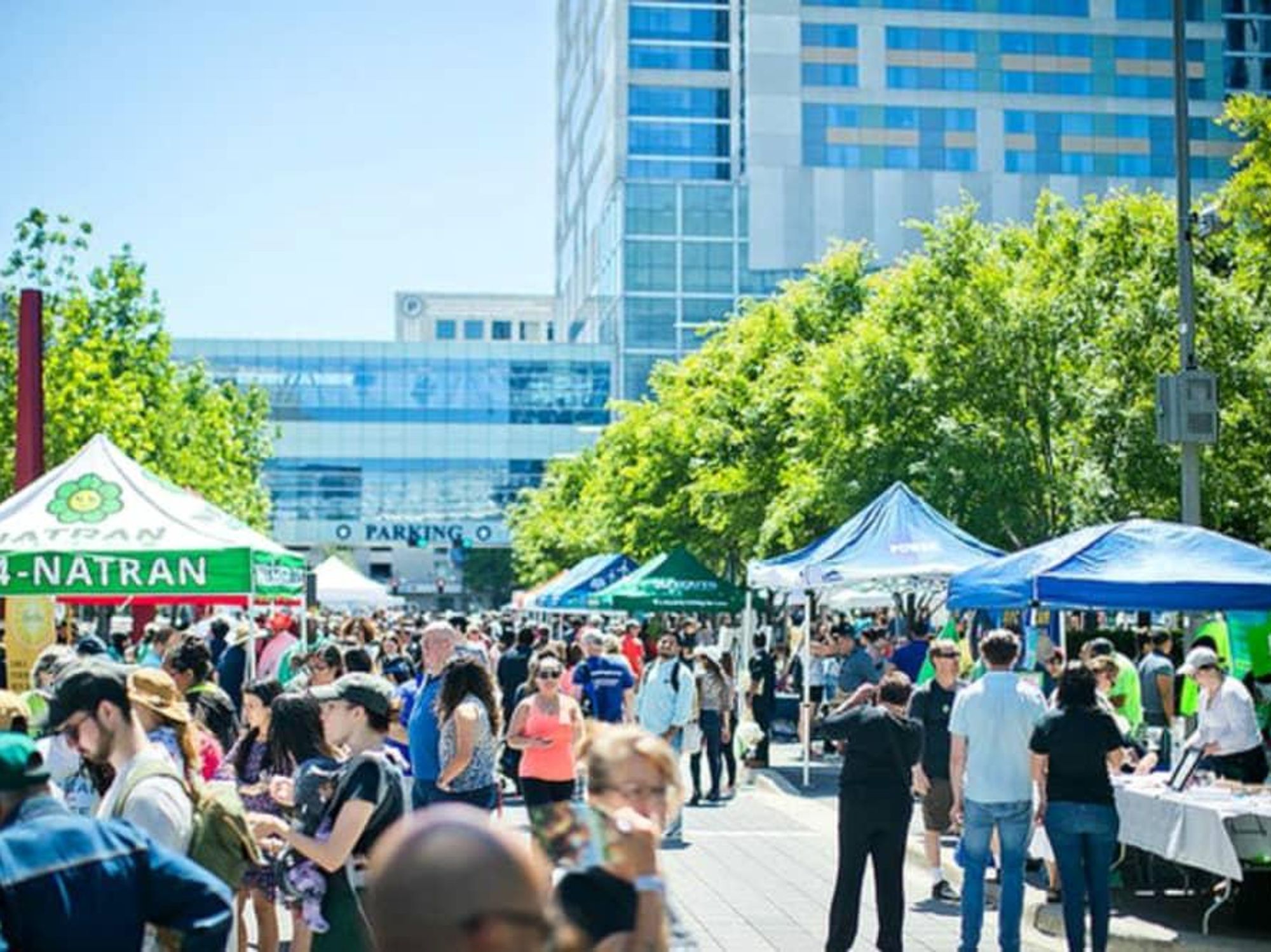 Discovery Green Earth Day