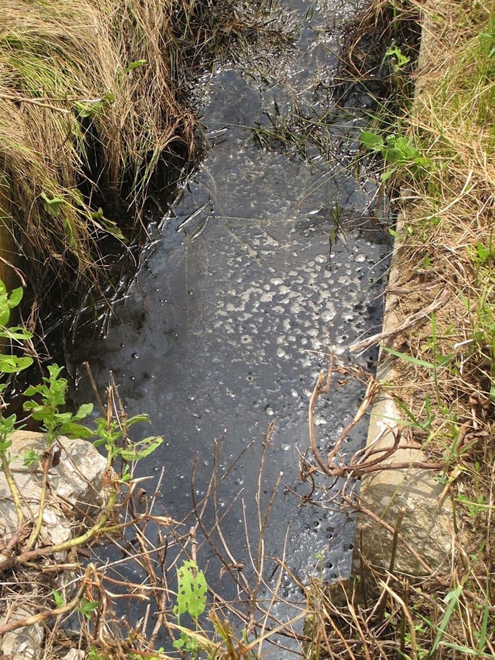 Ditch along Highway 87 near work site of Bolivar oil seepage