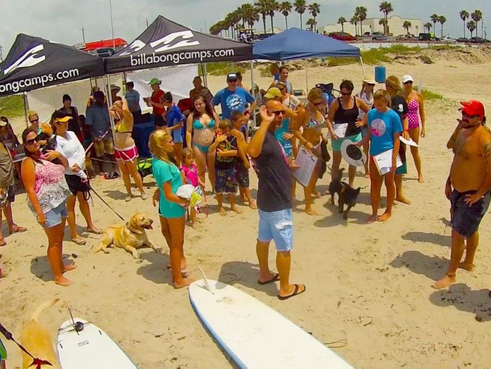 dog surfing Galveston July 2013