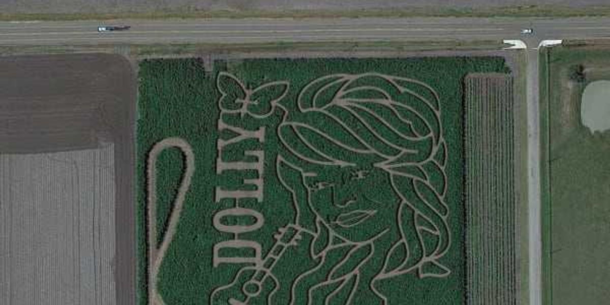 Texas farm's massive corn maze honors the late Dolly Parton