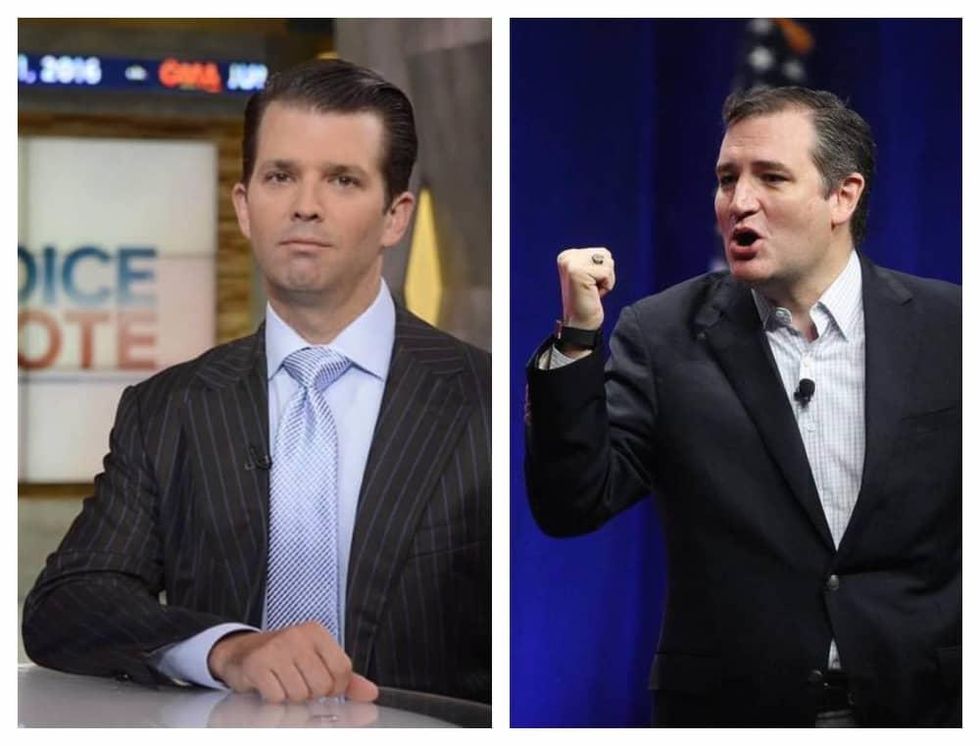 Donald Trump Jr Ted Cruz combined pic