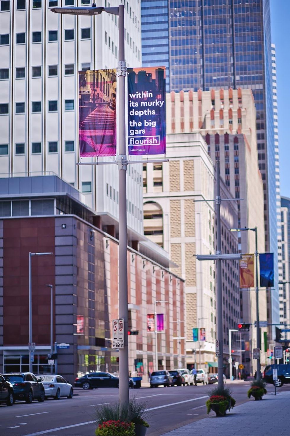 Downtown District banners