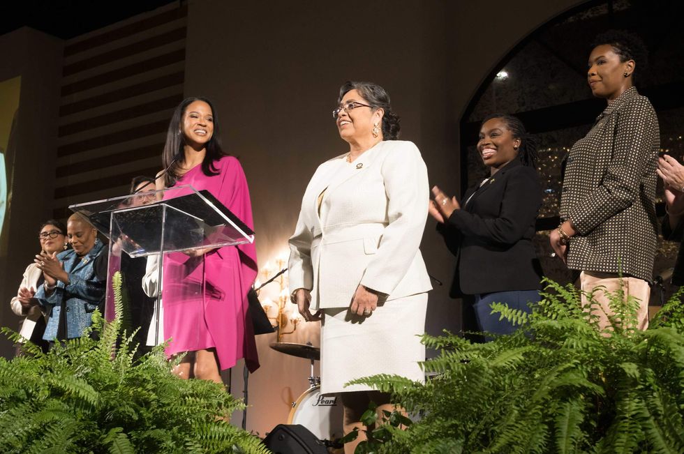 Dress for Success Rendezvous gala 2024