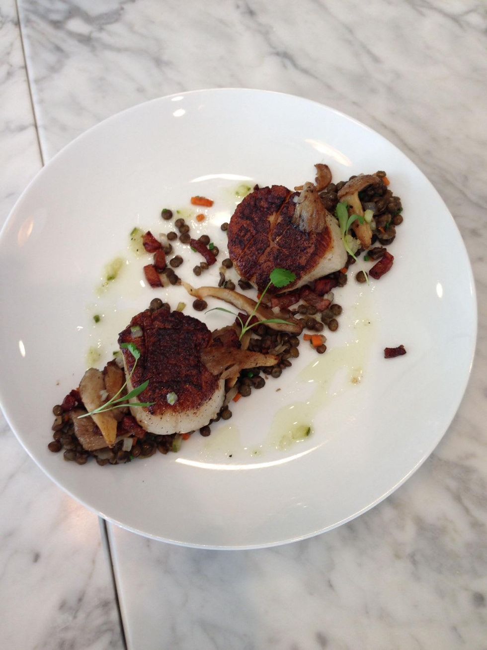 Drexel House restaurnat Houston scallops November 2013