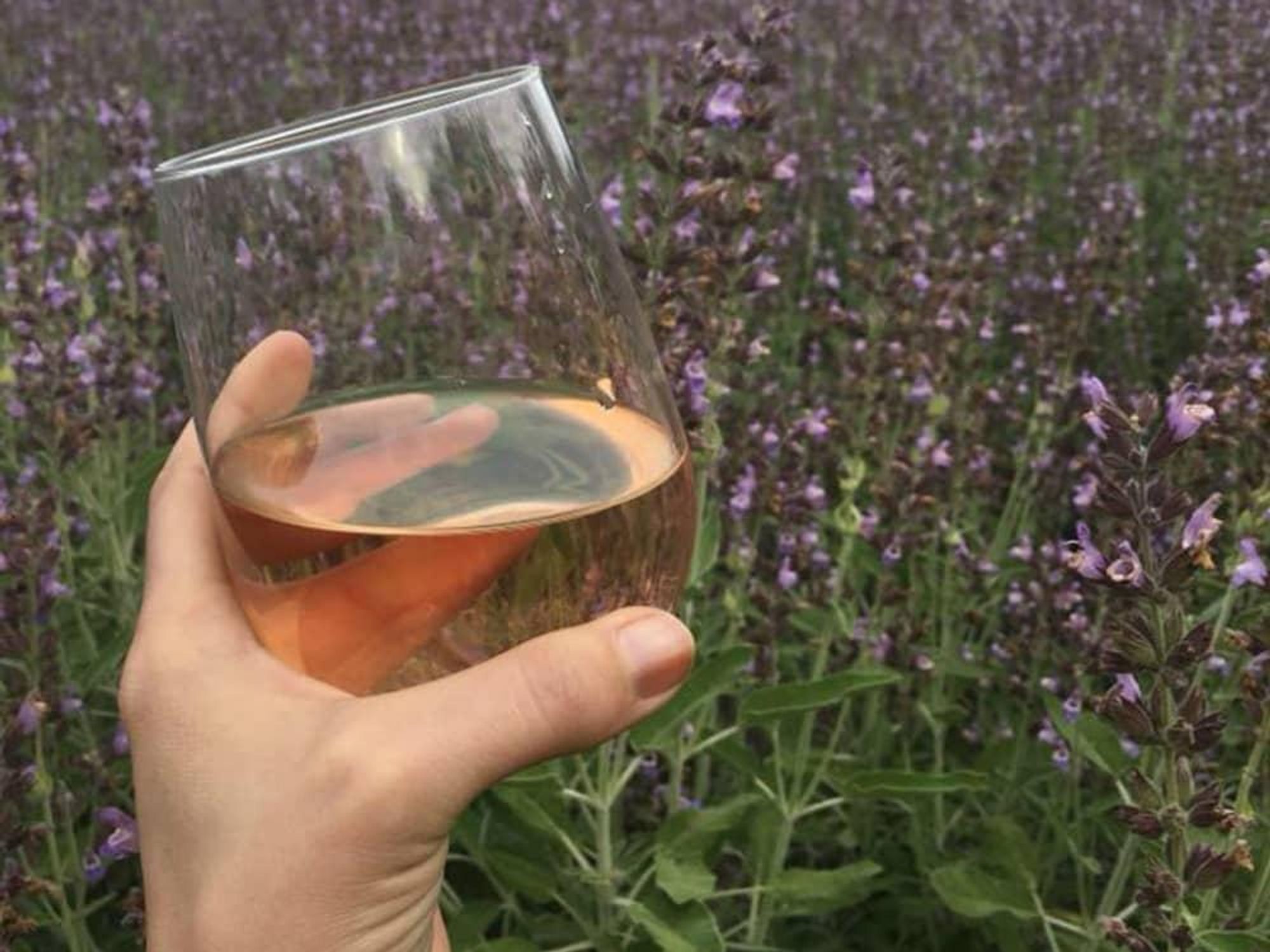 Dripping Springs wine