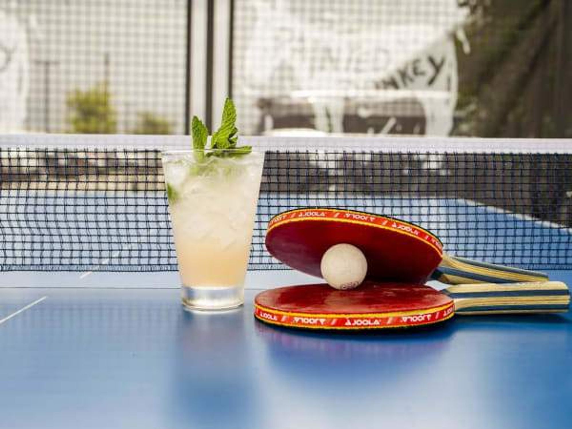 Drop Shots HTX indoor pickleball courts