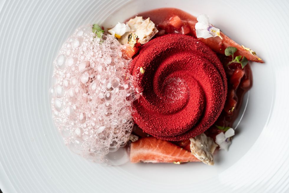 Duchess dessert rose