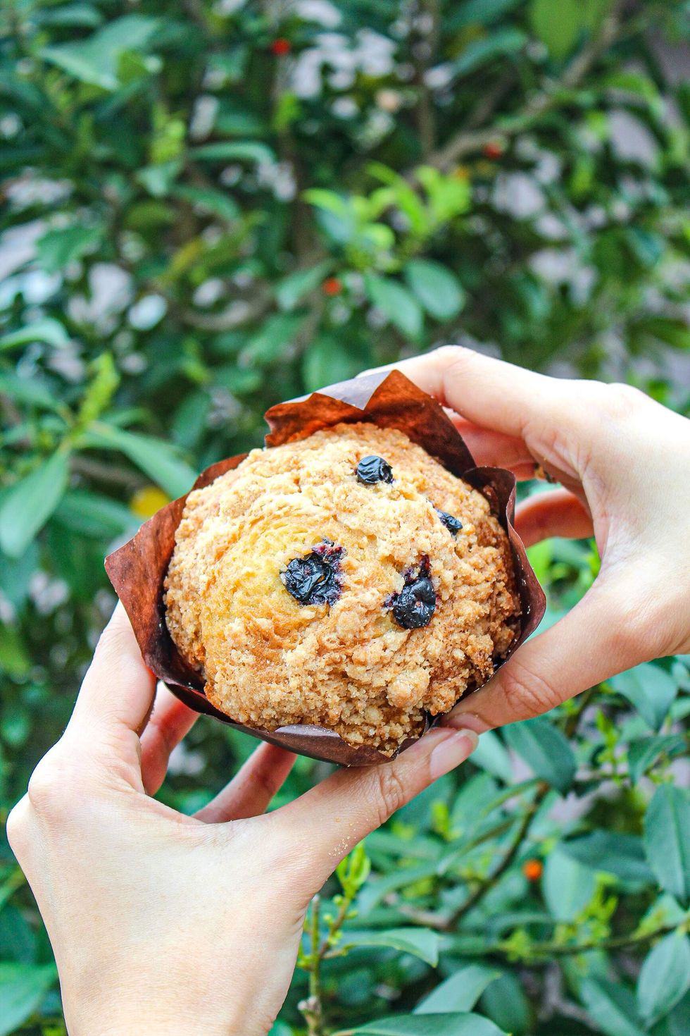 EaDough blueberry muffin