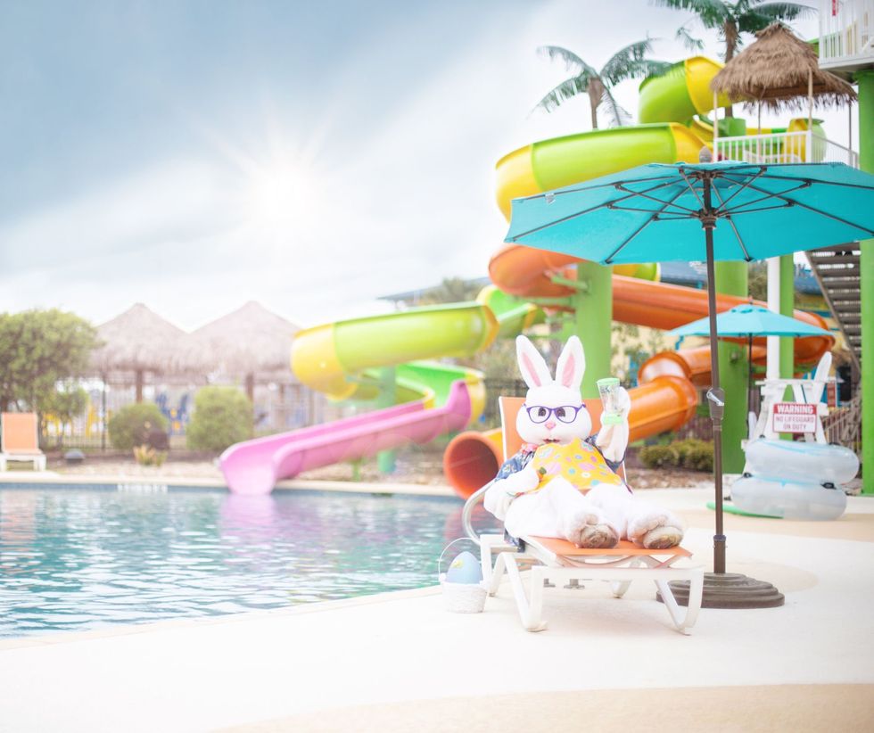 Easter Bunny at Margaritaville Resort