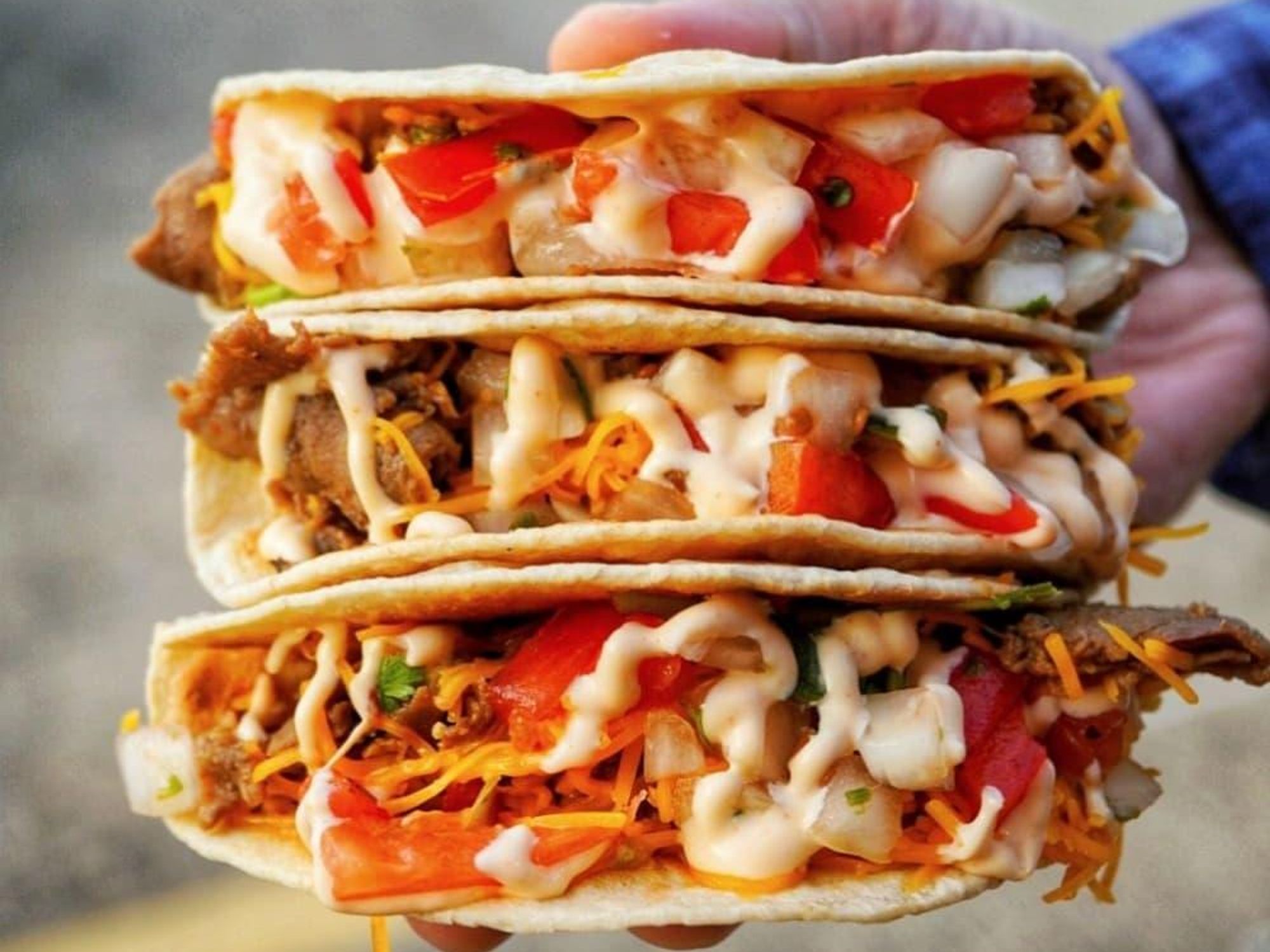 El Scorcho Taco Coreanos food truck