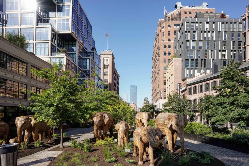Elephant sculptures in New York City as part of The Great Elephant Migration