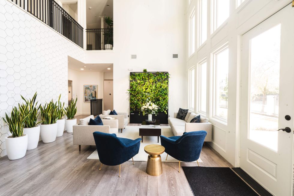 entryway houston black horse health