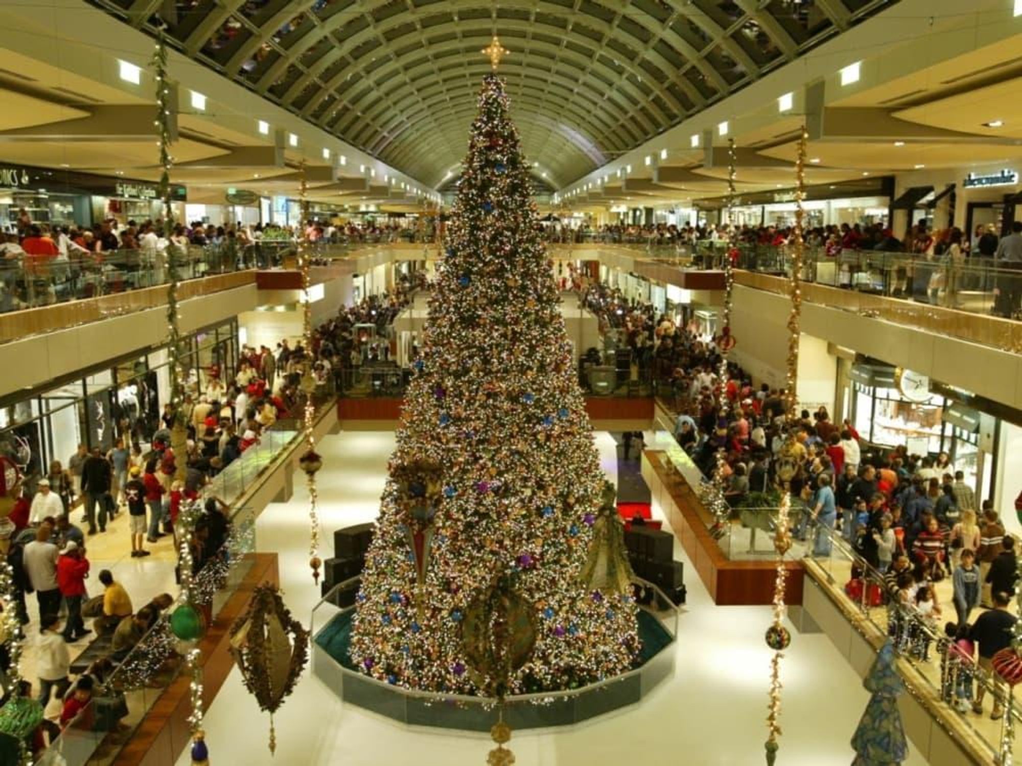 Events_Christmas_Tree_1113