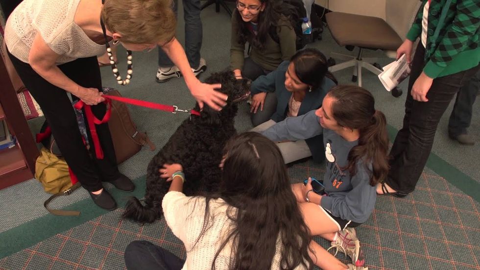 Dog party! Rice students take a break from the books for some good ol' fashionedpet therapy