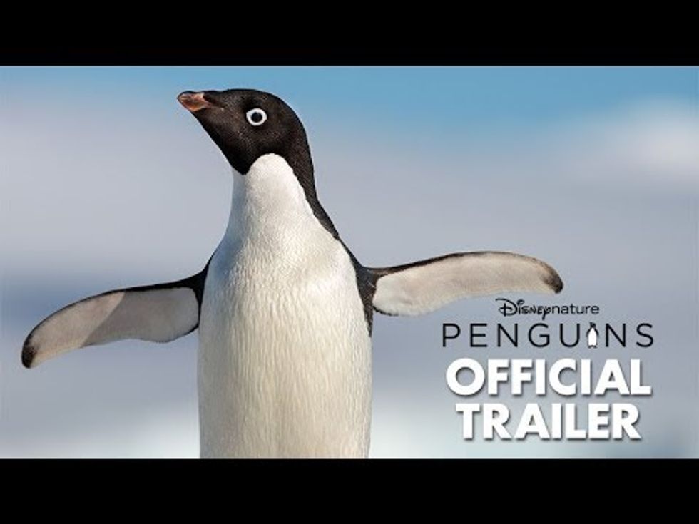 DisneyNature's Penguins tries too hard to march birds into our hearts