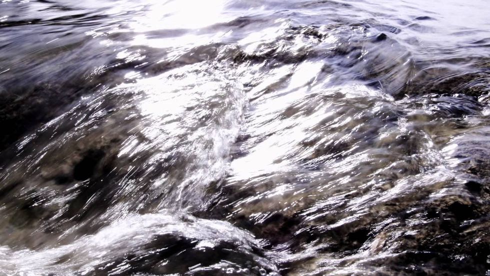 A bayou initiative with Bush backing: Parks By You wants to improve Houston'sgreen space