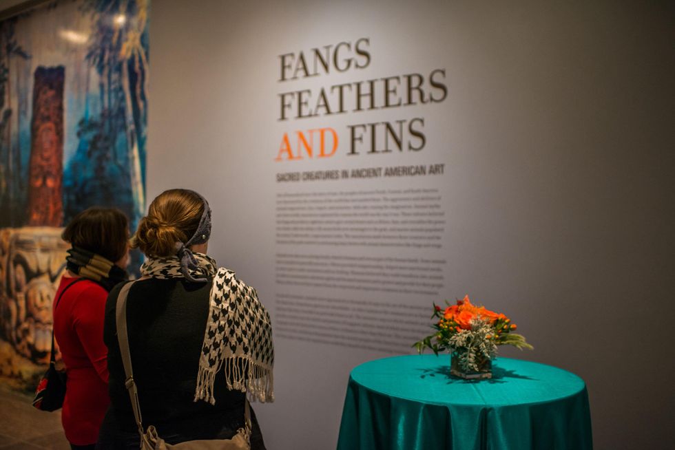 "Fangs, Feathers and Fins" at the MFAH Art Crowd Party November 2014