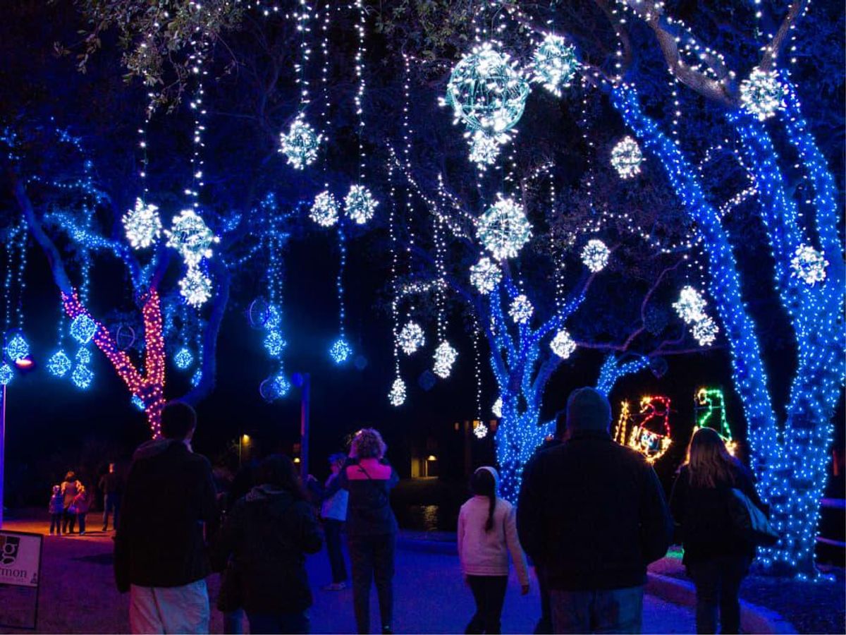 Moddy Gardens shines with its Festival of Lights. CultureMap Houston