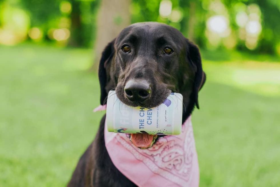 Fido Houston pet products