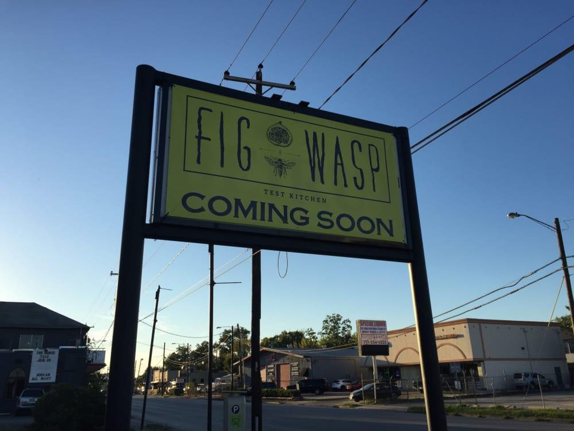 Fig & Wasp Test Kitchen sign