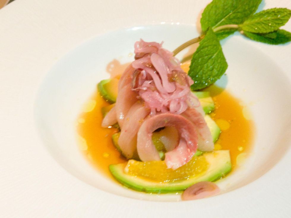 Fish and the Knife Yellowtail 2